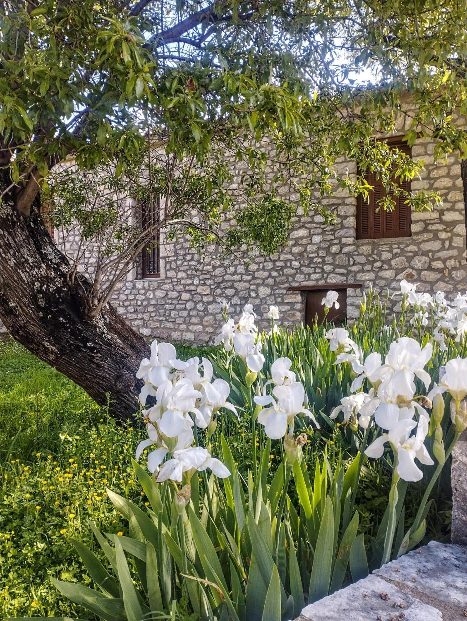 Sofias Cottage Elliniko  Bagian luar foto